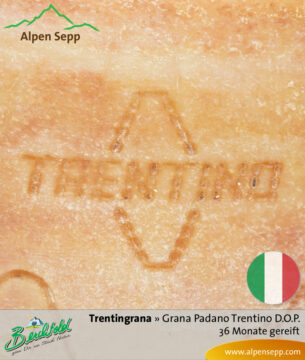 Käse Trentingrana - Grana Padano Trentino D.O.P. - 36 Monate gereift. Ähnlich Parmesan.