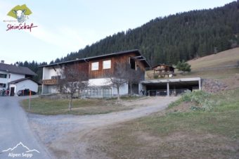 Steinschaf Montafon